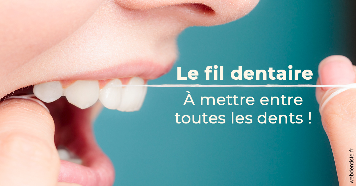 https://scp-cuenca-grocq-slonim-montoux.chirurgiens-dentistes.fr/Le fil dentaire 2