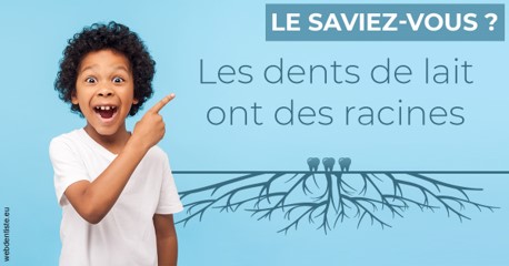 https://scp-cuenca-grocq-slonim-montoux.chirurgiens-dentistes.fr/Les dents de lait 2
