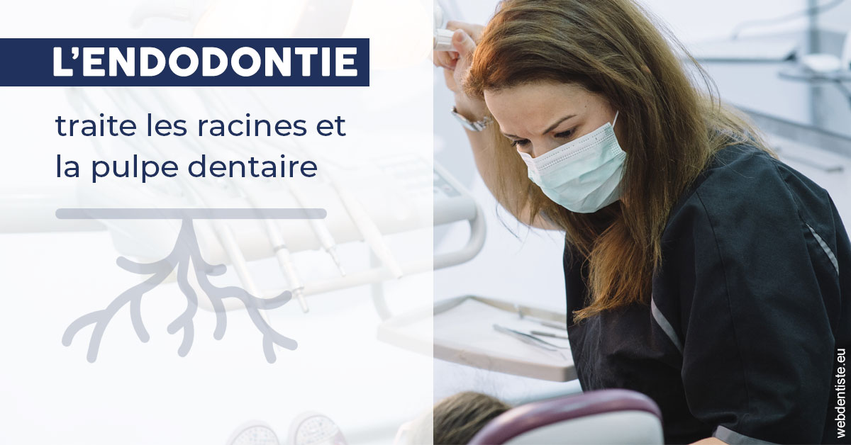 https://scp-cuenca-grocq-slonim-montoux.chirurgiens-dentistes.fr/L'endodontie 1