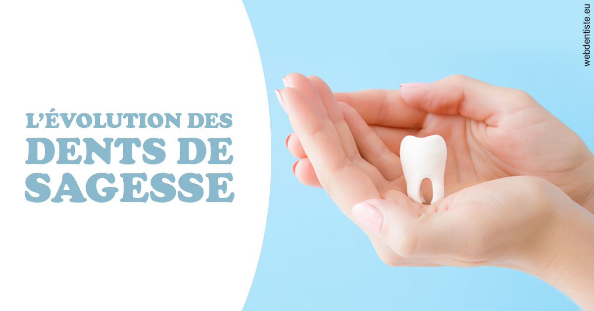 https://scp-cuenca-grocq-slonim-montoux.chirurgiens-dentistes.fr/Evolution dents de sagesse 1