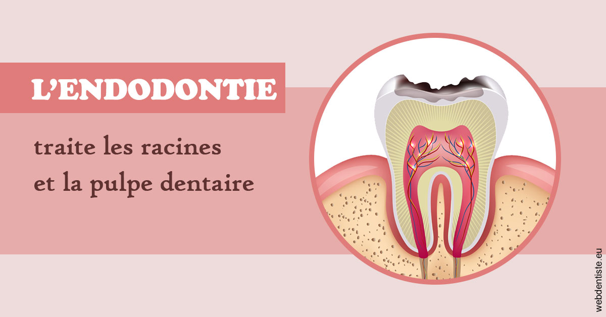 https://scp-cuenca-grocq-slonim-montoux.chirurgiens-dentistes.fr/L'endodontie 2