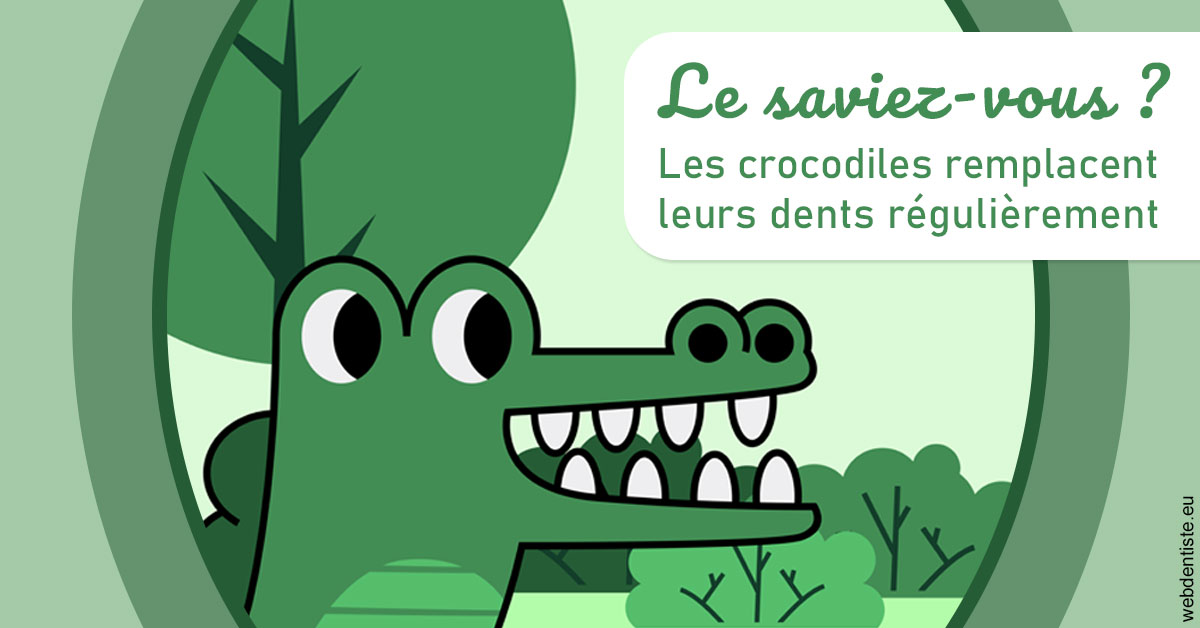 https://scp-cuenca-grocq-slonim-montoux.chirurgiens-dentistes.fr/Crocodiles 2