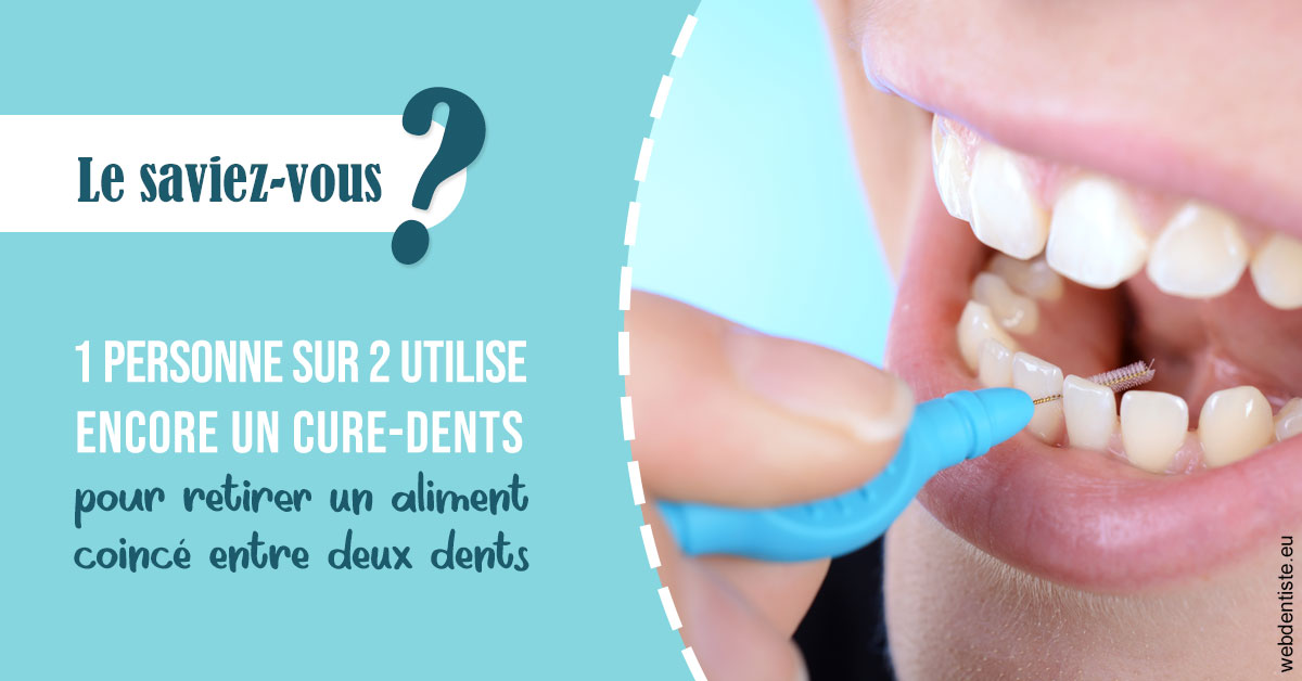 https://scp-cuenca-grocq-slonim-montoux.chirurgiens-dentistes.fr/Cure-dents 1