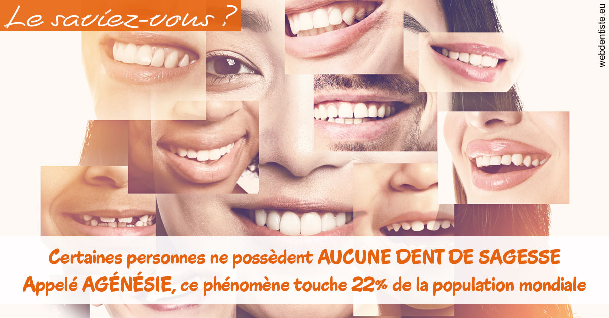 https://scp-cuenca-grocq-slonim-montoux.chirurgiens-dentistes.fr/Agénésie 2